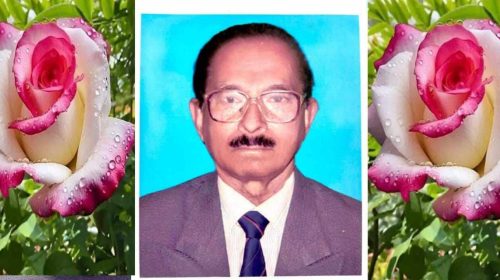 422615226 304955472550421 8288543636705465214 n