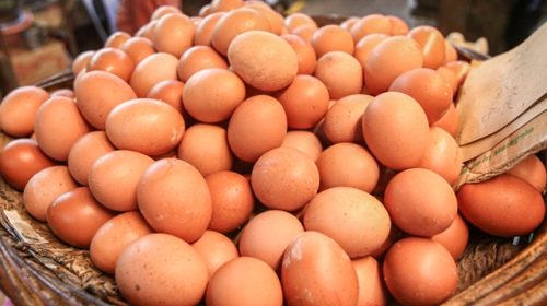 85033db2496e9f7c1b50676882f7d60fb7ba02cb939425e6