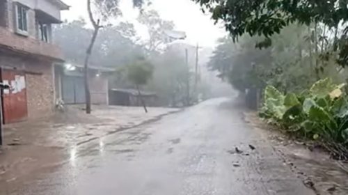 image 764478 1705551368