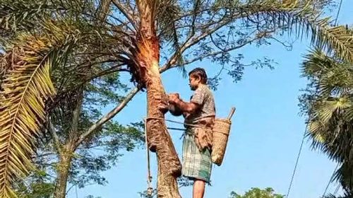 received 876990731097880