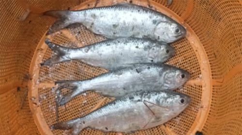 Untitled 1 13 600x337 1