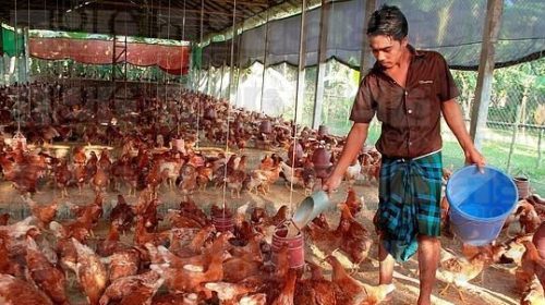 14702340 884593398307884 5412441896496804160 n