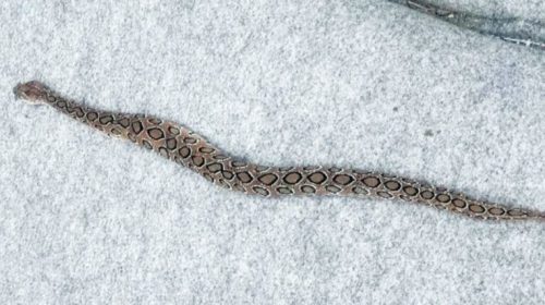 Capture 316 768x427 1