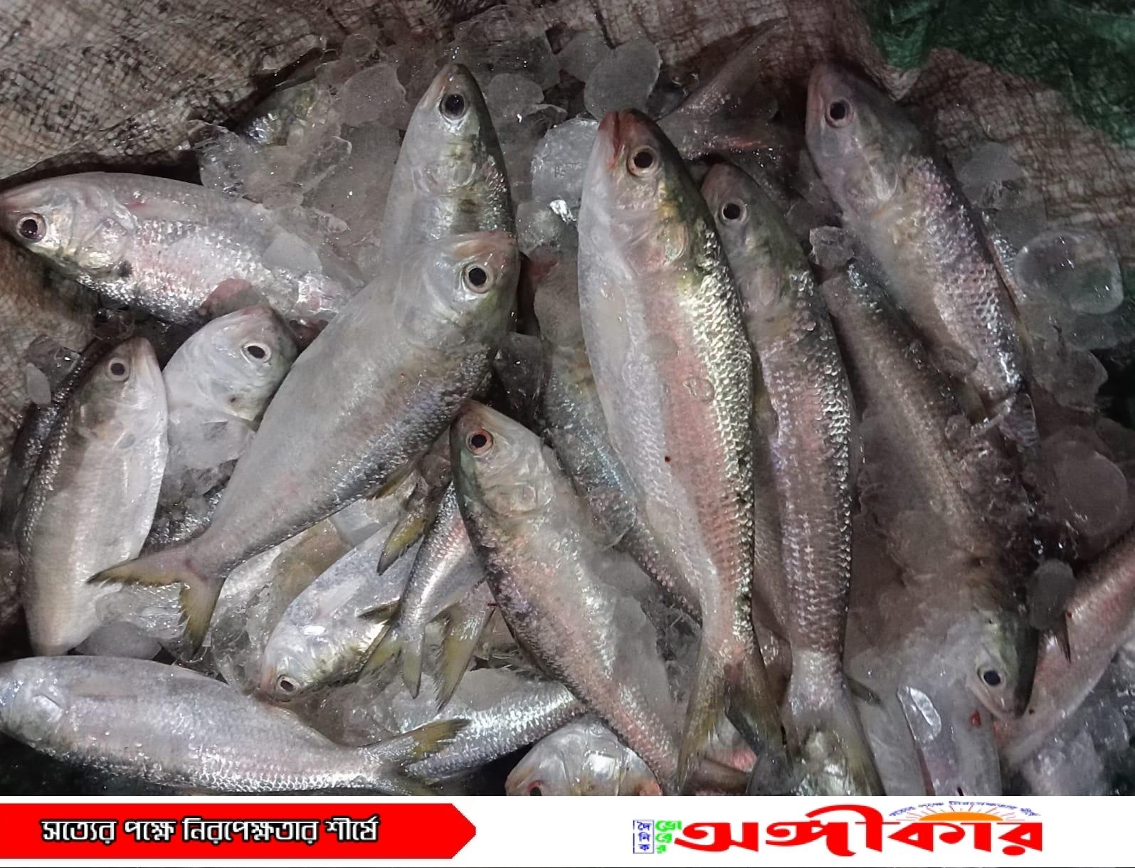 IMG 20251114 WA00531