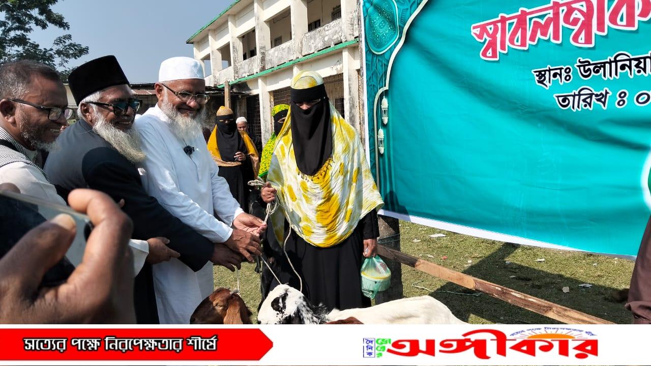 IMG 20251206 WA00341